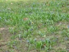 2012-03-31_d