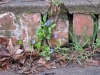2012-03-31_l