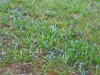 2012-03-31_n
