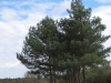 2013-04-28_z2