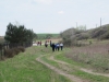 2013-04-29_z