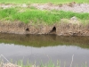 2013-05-01_i9