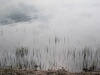 2013-05-01_k8
