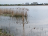 2013-05-01_k9