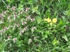 2013-05-01_l3