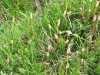 2013-05-01_l5