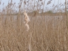 2013-05-01_l6