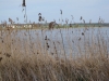 2013-05-01_l7