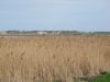 2013-05-01_l8
