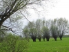 2013-05-01_l9_a