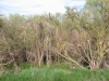 2013-05-01_l9_d