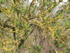 2013-05-01_l9_f