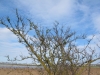 2013-05-01_l9_i