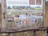 2013-05-01_l9_j