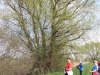 2013-05-01_m