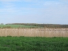 2013-05-01_m1