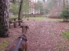 2014 03 23_a