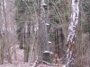 2014 04 05_b