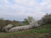2014 04 12_a1