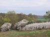 2014 04 12_a2