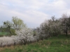 2014 04 12_a3
