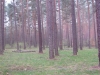 2014 04 12_f1
