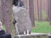 2014 04 12_f3