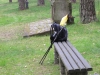 2014 04 12_f4