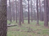 2014 04 12_f_refl