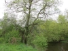 2014 04 26_g