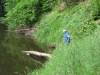 2014 06 07_d2