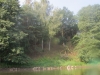 2014 07 27_d6