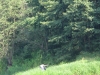 2014 07 27_g1