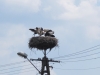 2014 07 27_h8