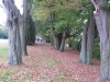 2014 10 11_e