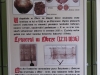 2014 10 11_e9c