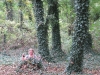 2014 10 12_i9