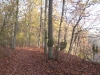 2014 11 04_i