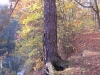 2014 11 04_s7