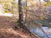 2014 11 04_s8