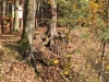 2014 11 04_t2