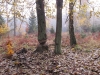 2014 11 11_c7
