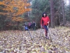 2014 11 11_d2