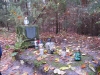 2014 11 11_d5
