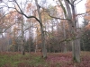 2014 11 11_d9