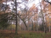 2014 11 11_e