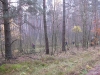 2014 11 11_e9