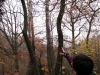 2014 11 15_d6c