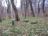 2014 11 15_d6d