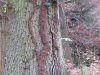 2014 11 15_d6f